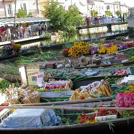Gite De L'Olivier, Classe, Climatise, Jardin Avec Parking Gratuit Devant Le Logement Et A 5 Minutes Du Centre-Ville A Pied 索格岛 外观 照片