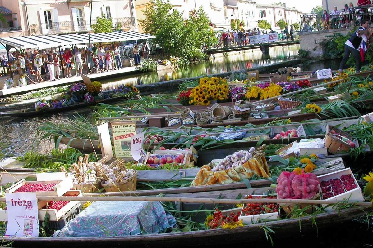 Gite De L'Olivier, Classe, Climatise, Jardin Avec Parking Gratuit Devant Le Logement Et A 5 Minutes Du Centre-Ville A Pied 索格岛 外观 照片